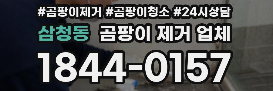 삼청동 곰팡이 제거 업체