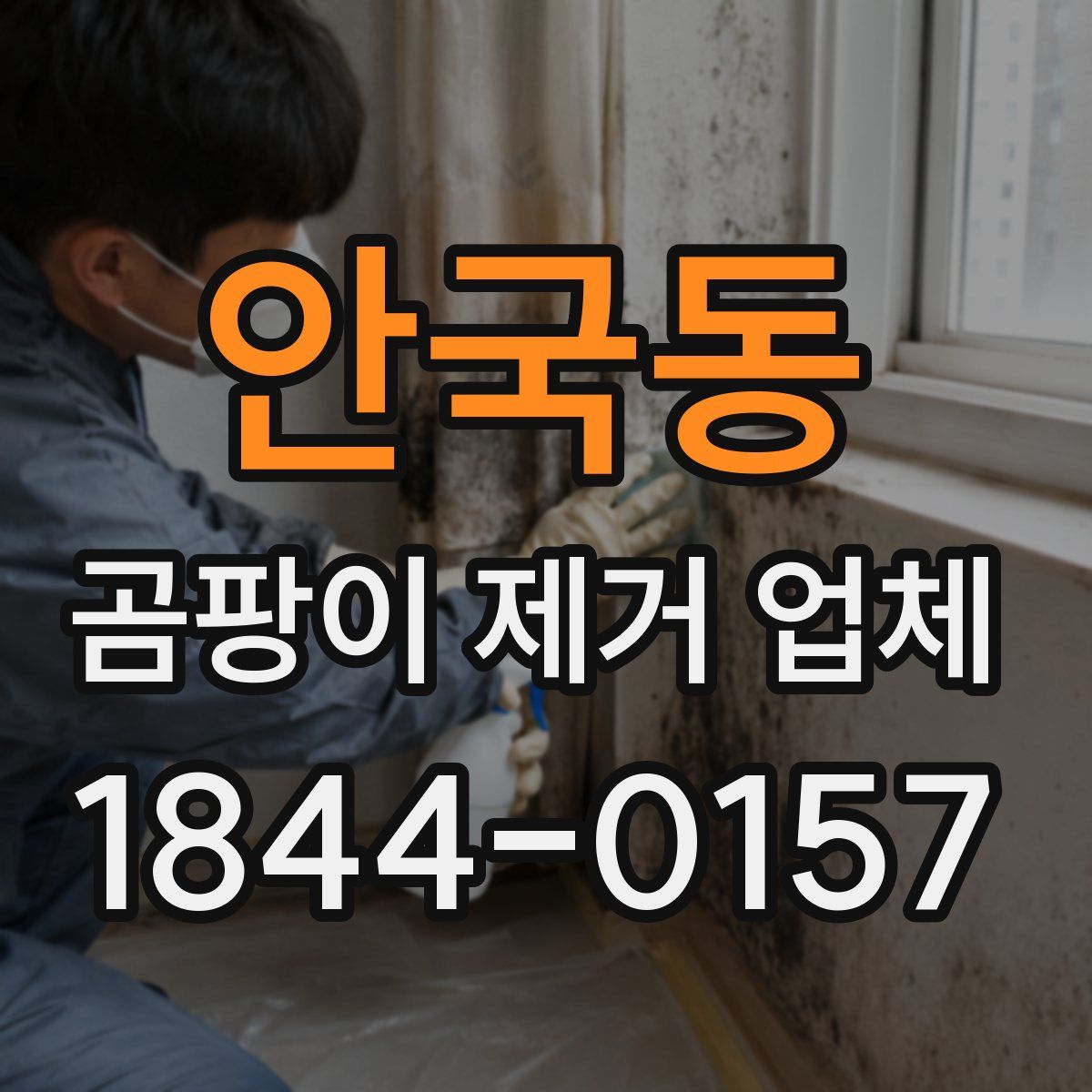 안국동 곰팡이 제거 업체