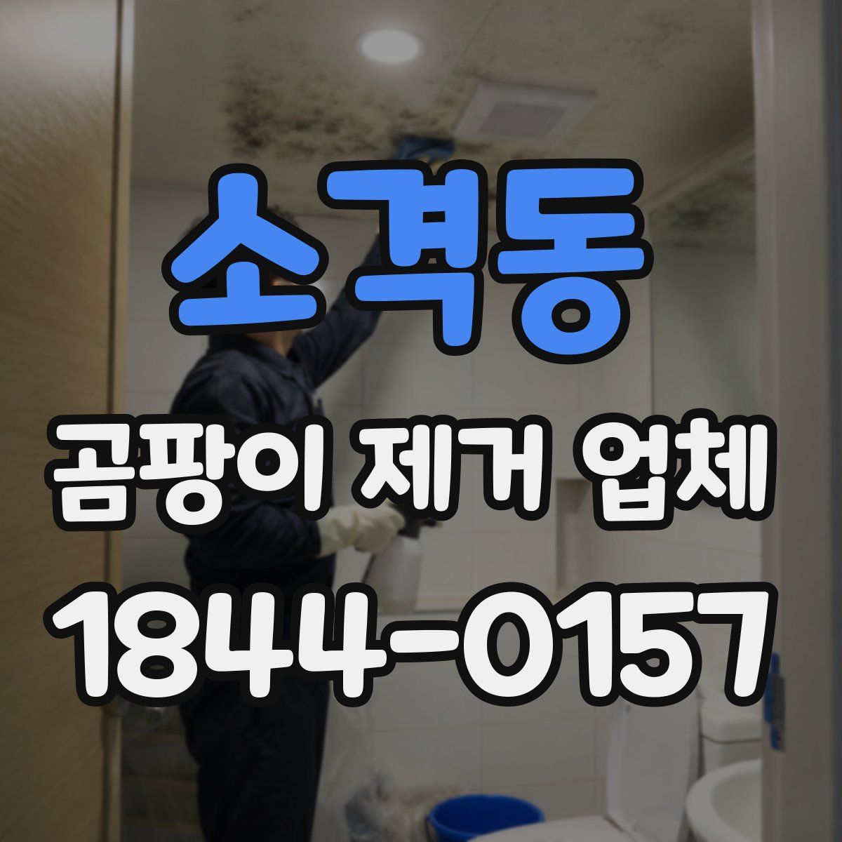 소격동 곰팡이 제거 업체