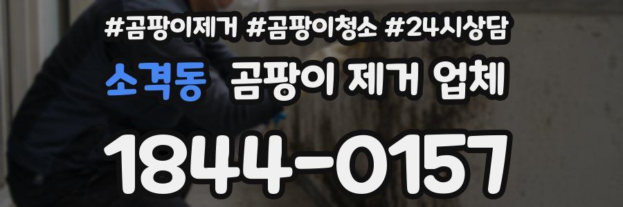 소격동 곰팡이 제거 업체