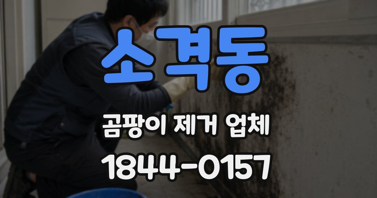 소격동 곰팡이 제거 업체