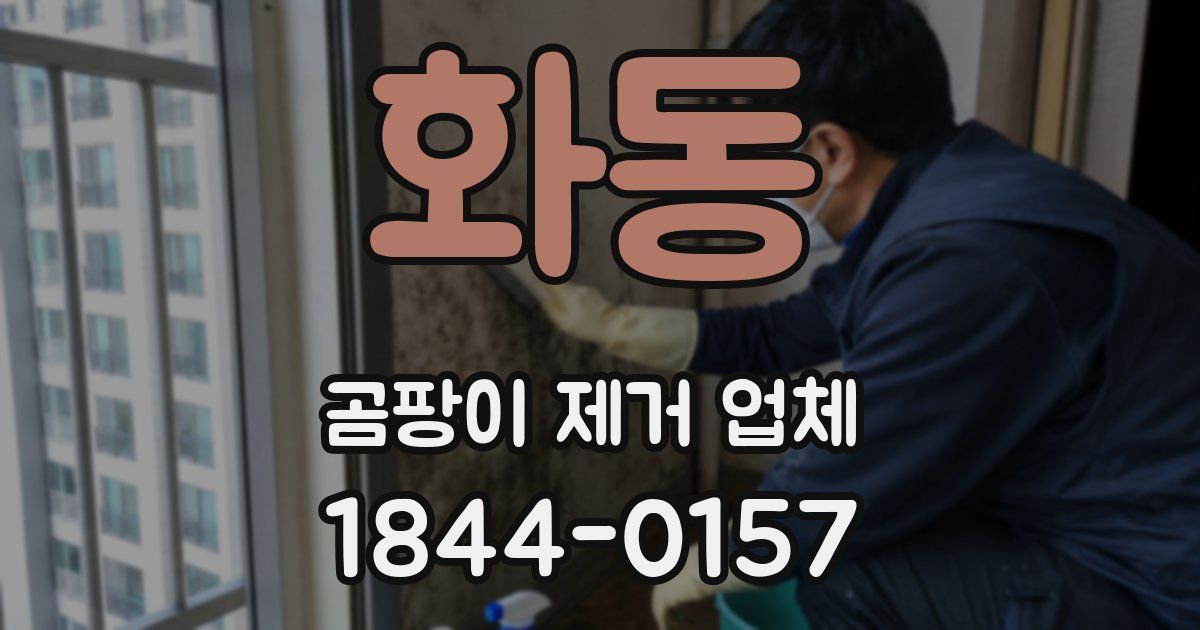 화동 곰팡이 제거 업체
