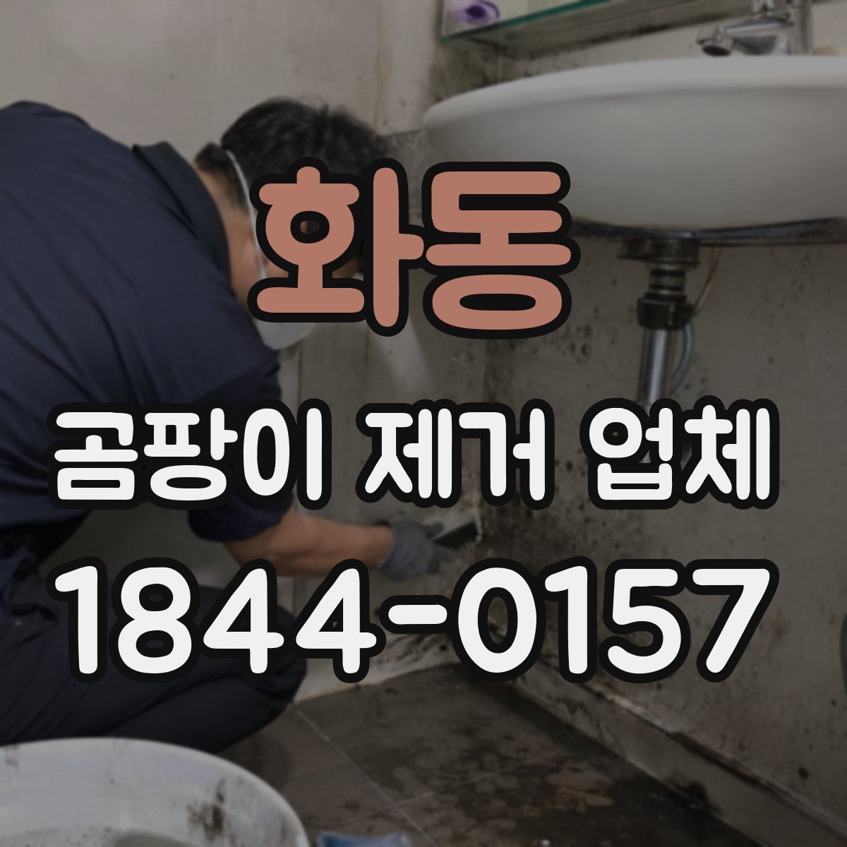 화동 곰팡이 제거 업체