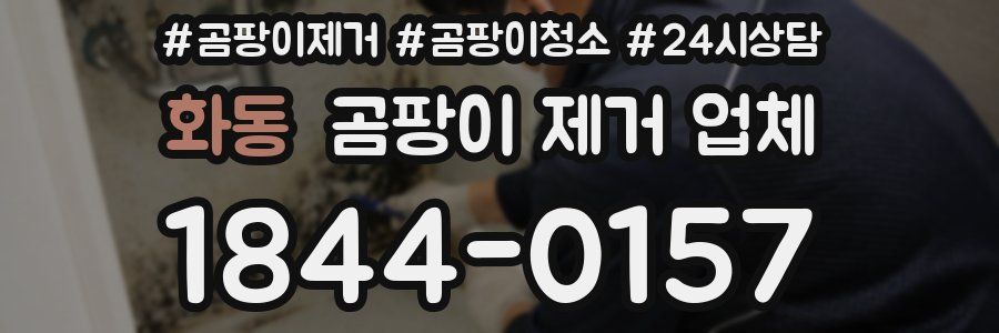 화동 곰팡이 제거 업체