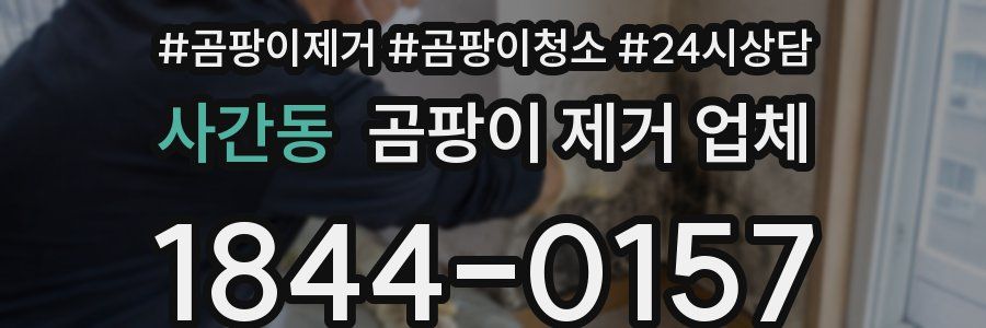 사간동 곰팡이 제거 업체