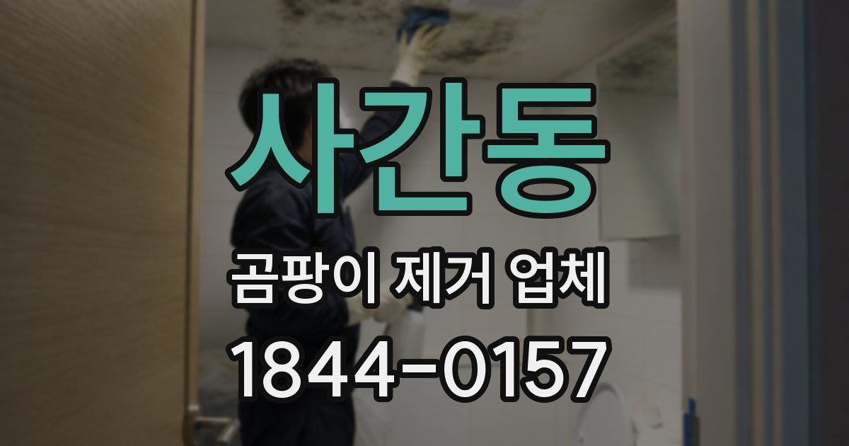 사간동 곰팡이 제거 업체