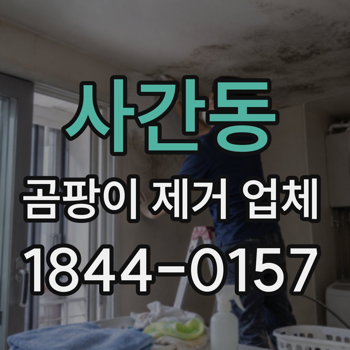 사간동 곰팡이 제거 업체