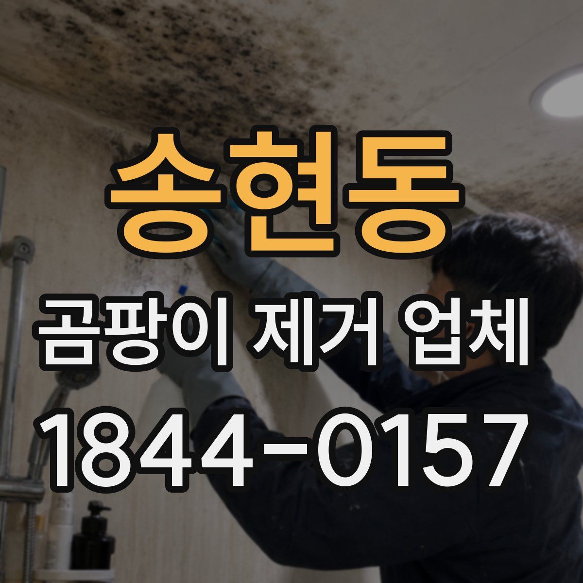 송현동 곰팡이 제거 업체