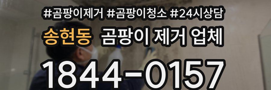 송현동 곰팡이 제거 업체