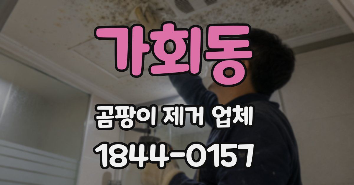 가회동 곰팡이 제거 업체