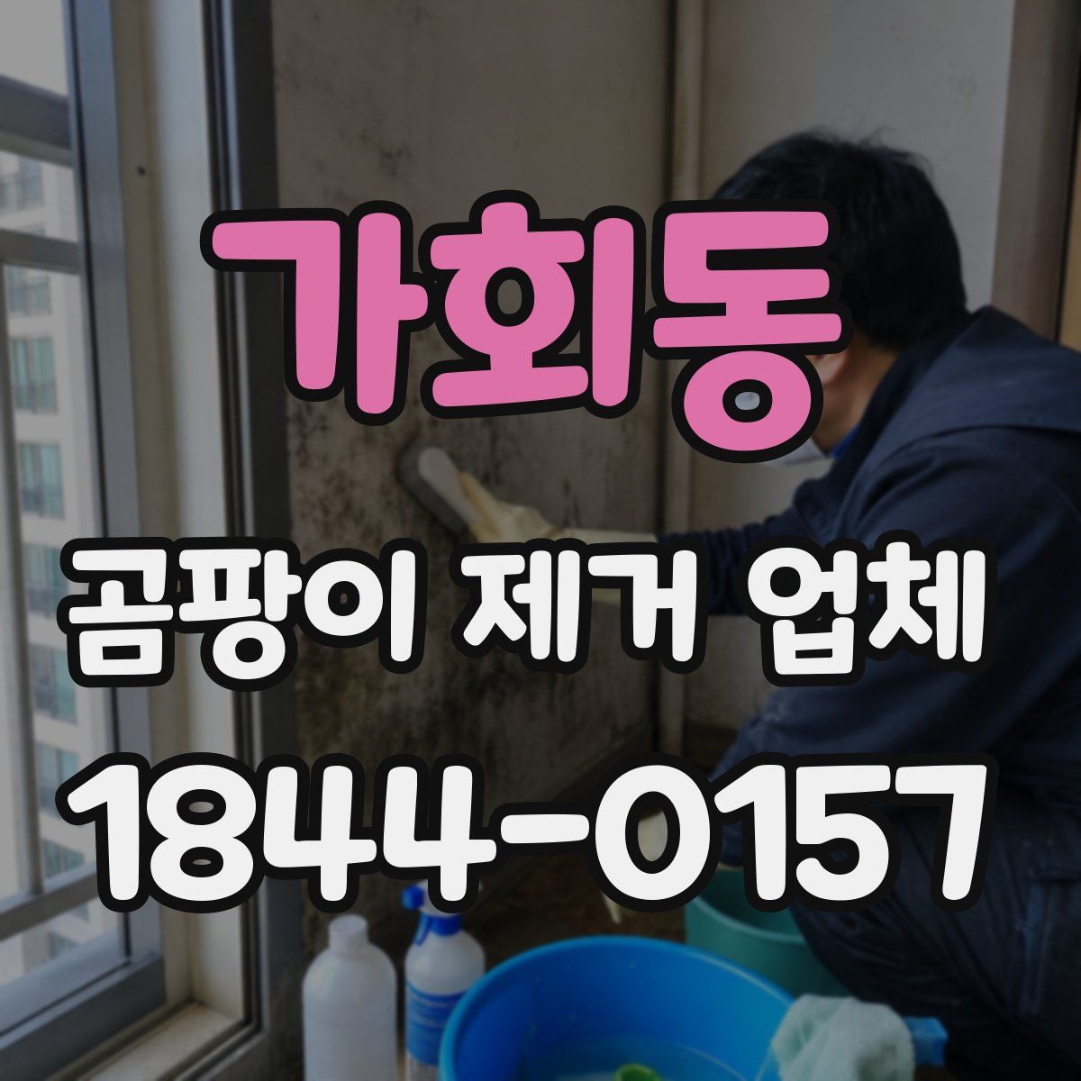 가회동 곰팡이 제거 업체