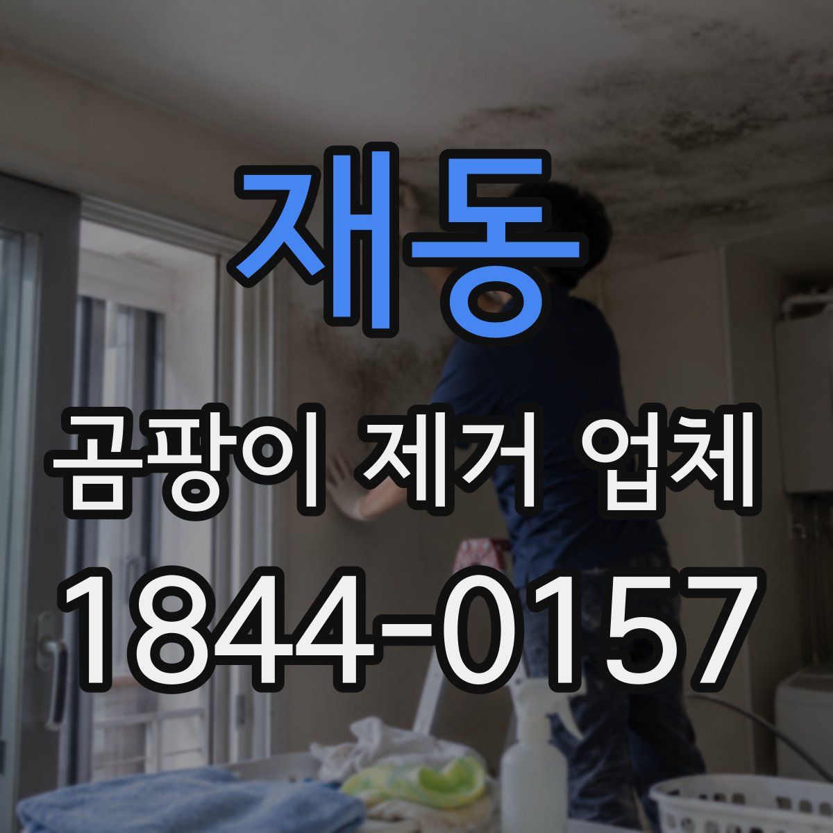 재동 곰팡이 제거 업체