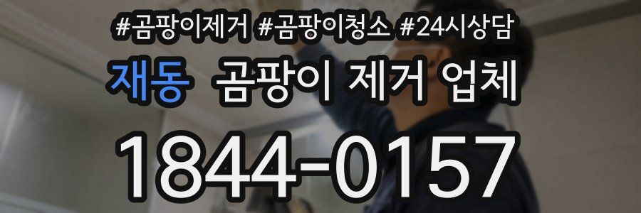 재동 곰팡이 제거 업체