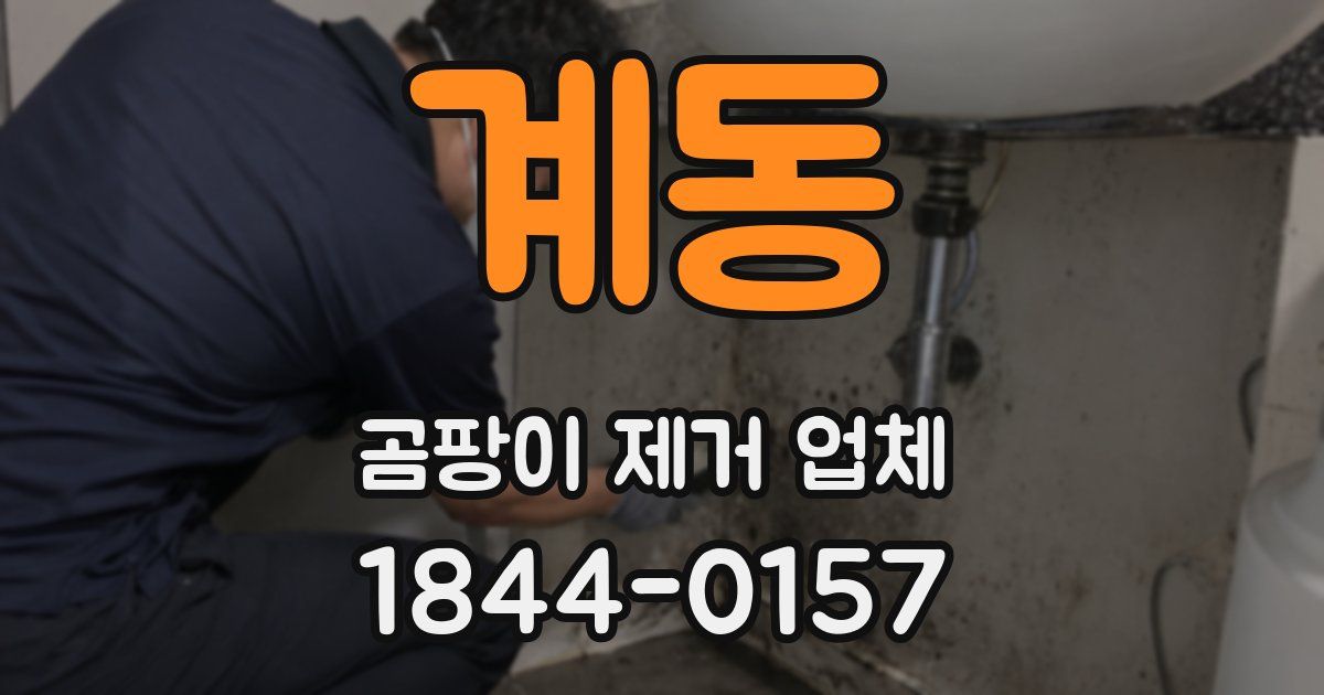 계동 곰팡이 제거 업체