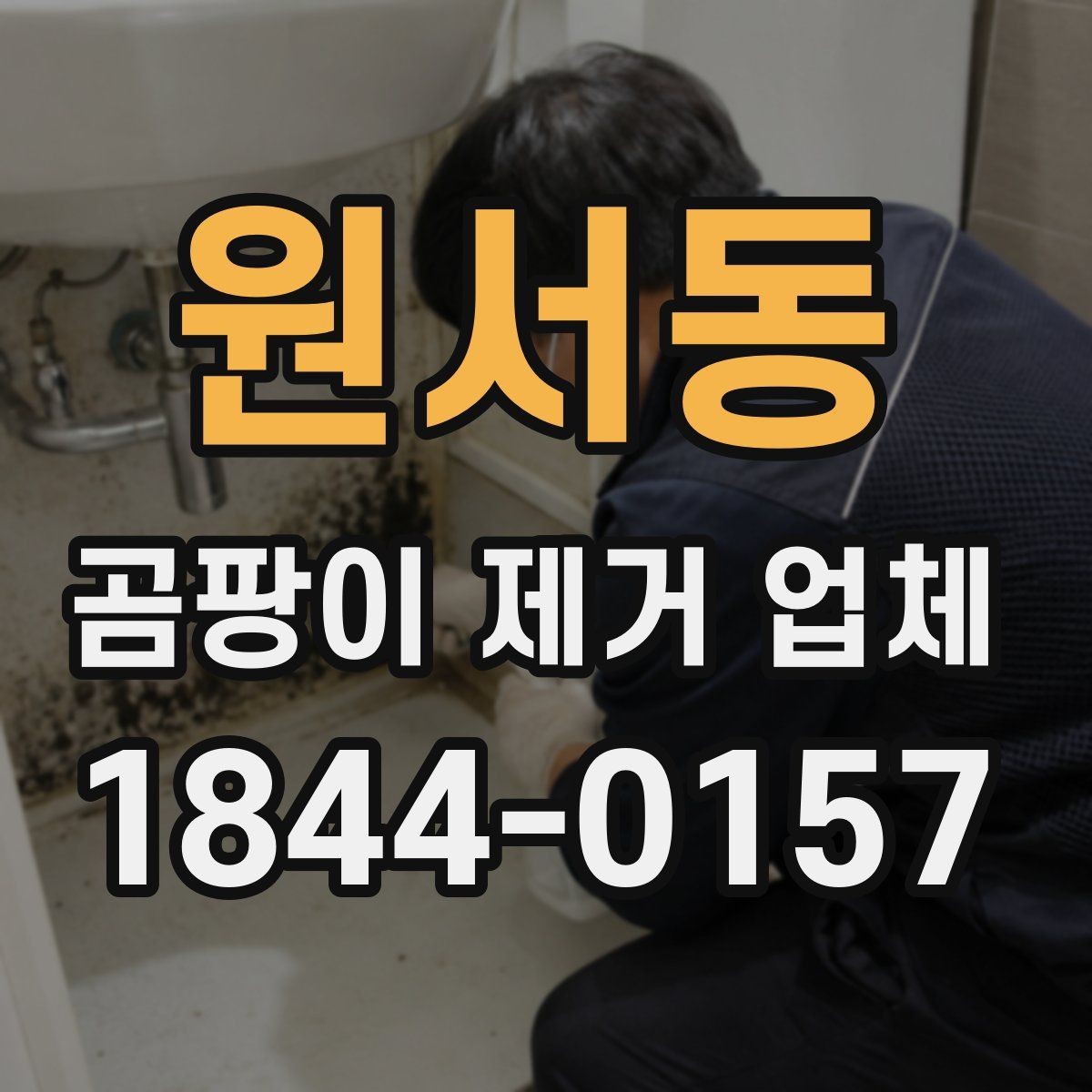 원서동 곰팡이 제거 업체 실내 습도와 결로 흔적을 함께 살피는 방법