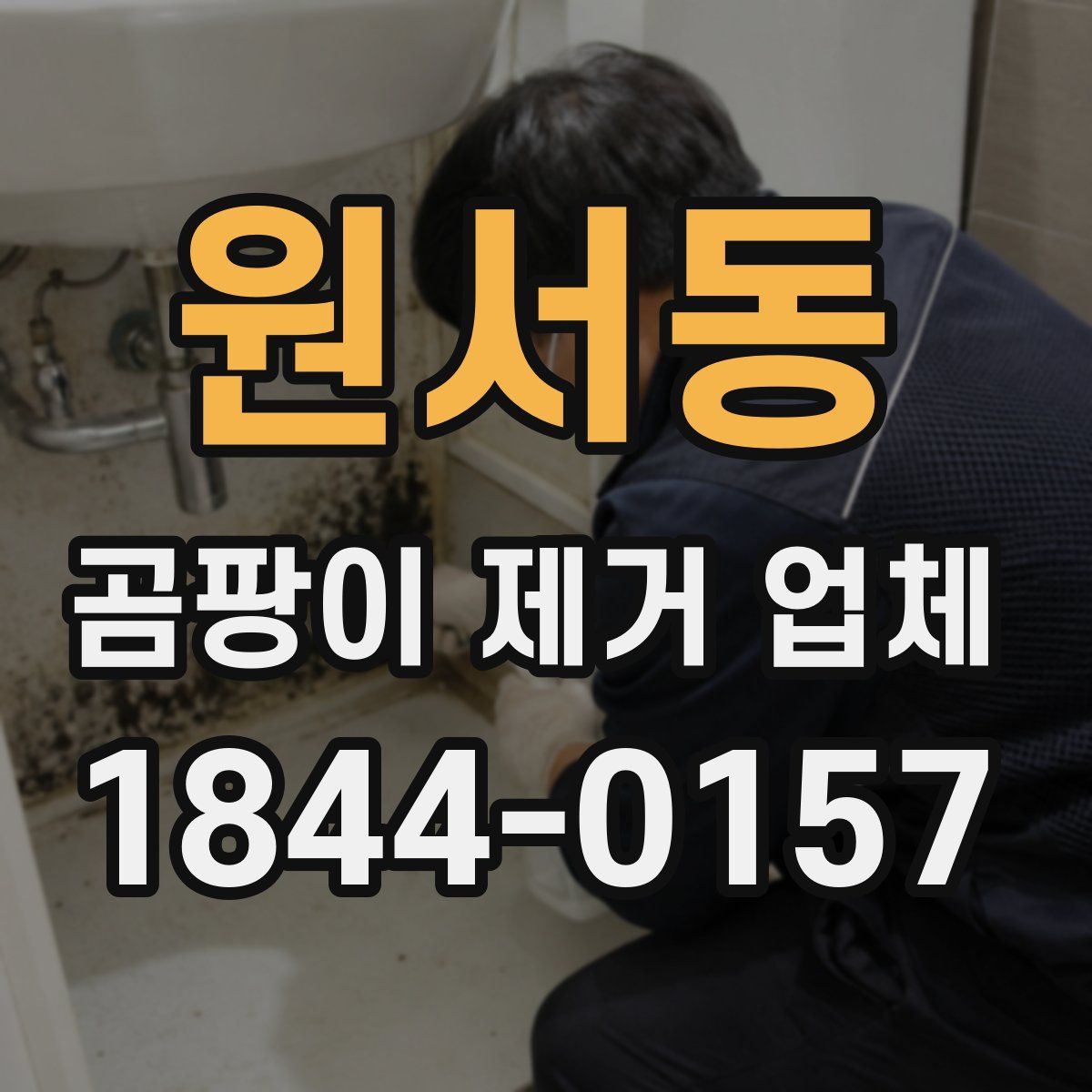 원서동 곰팡이 제거 업체