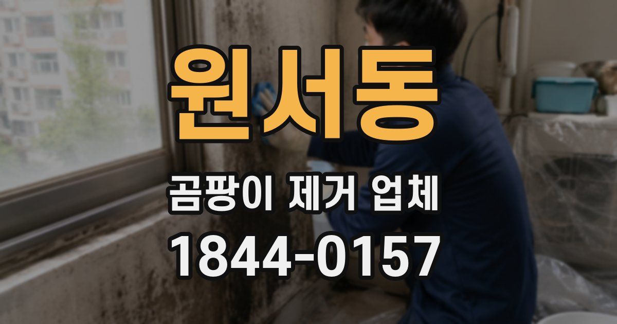 원서동 곰팡이 제거 업체