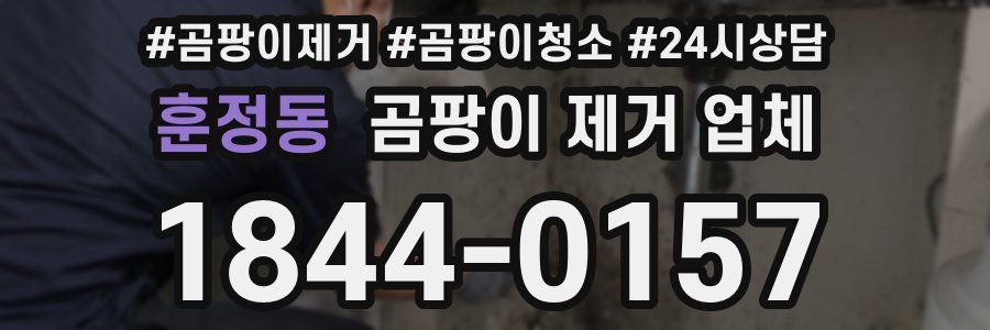 훈정동 곰팡이 제거 업체
