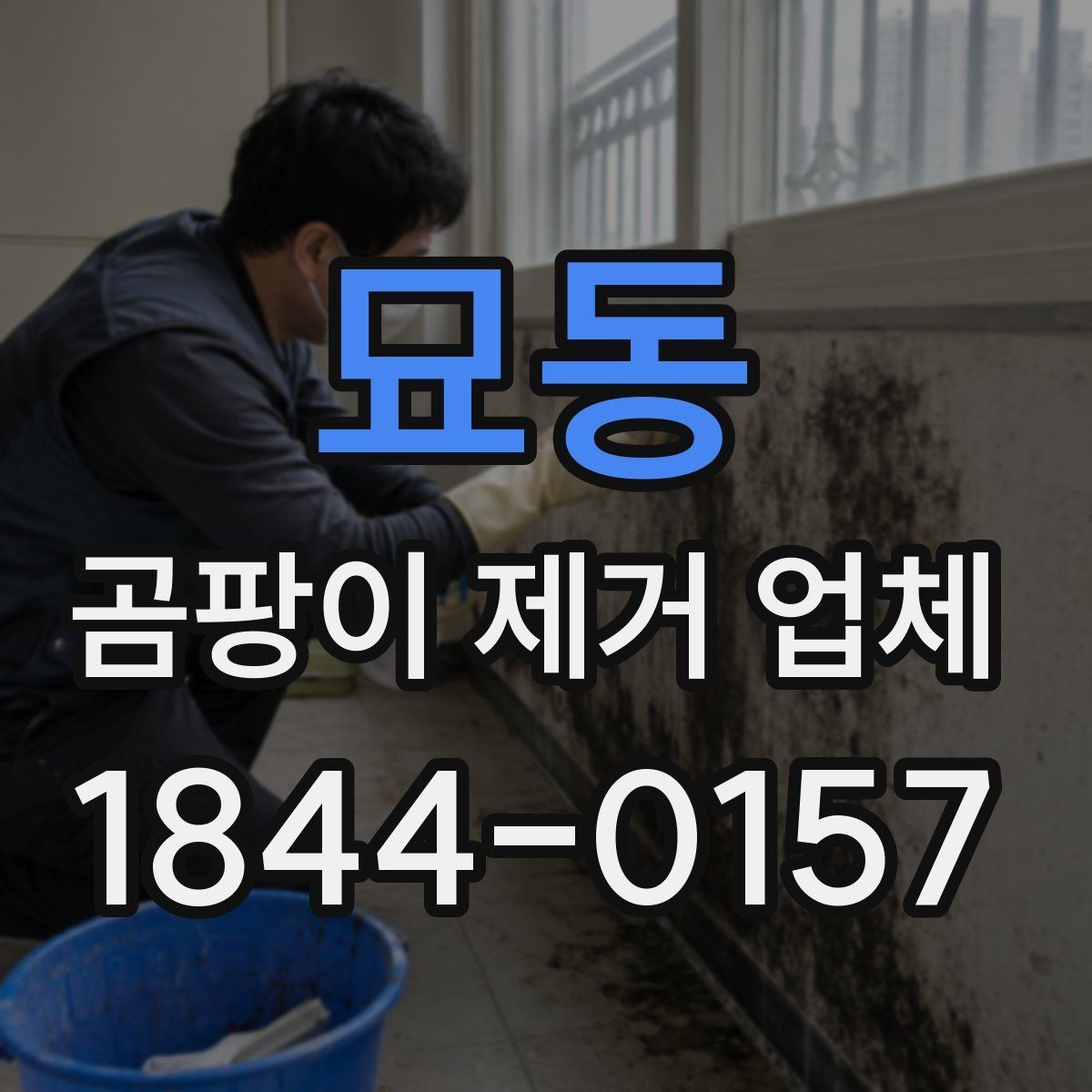 묘동 곰팡이 제거 업체 손상된 자재를 보호하며 진행하는 시공 기준