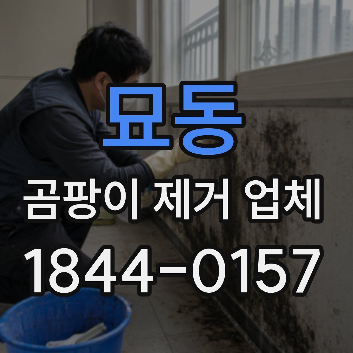 묘동 곰팡이 제거 업체