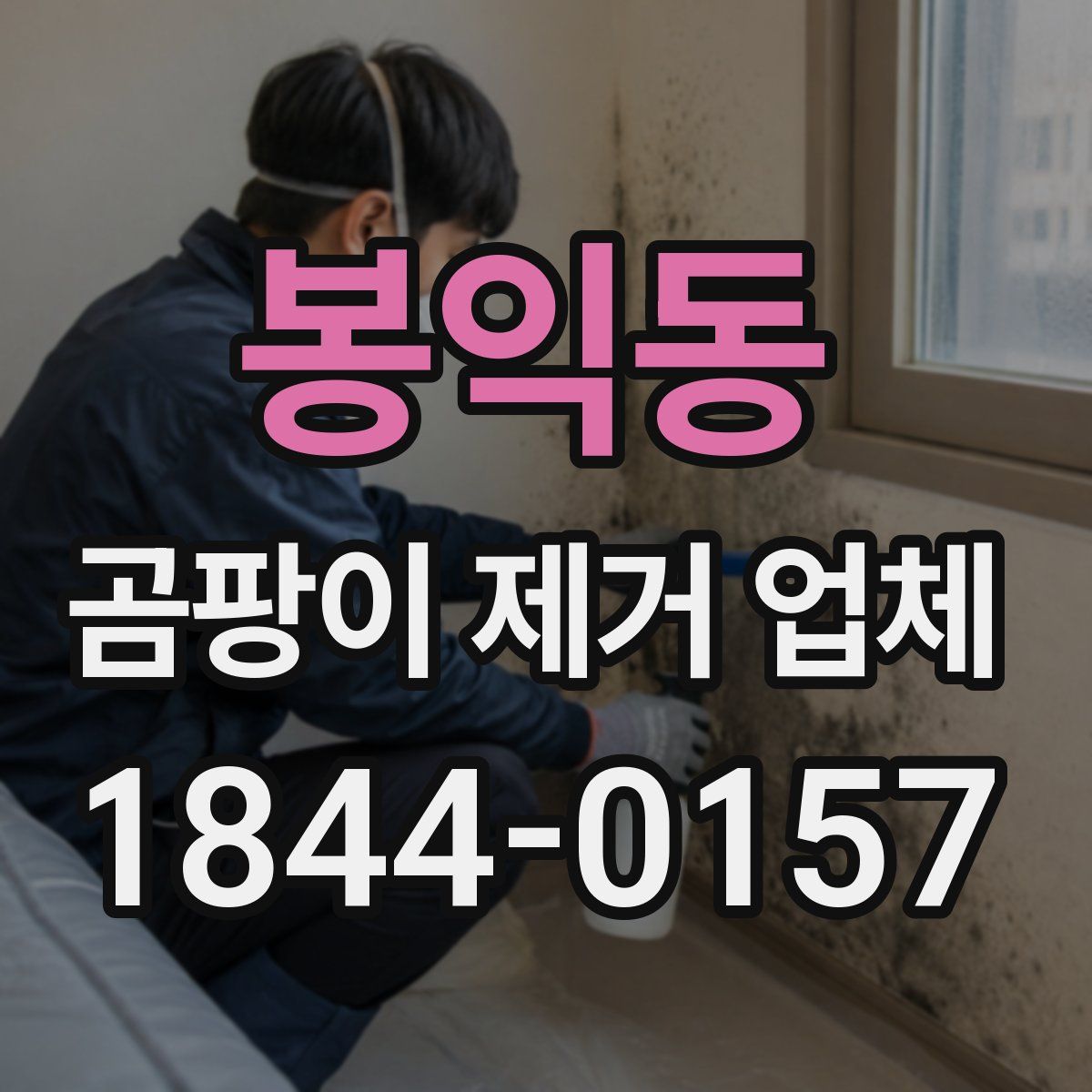 봉익동 곰팡이 제거 업체