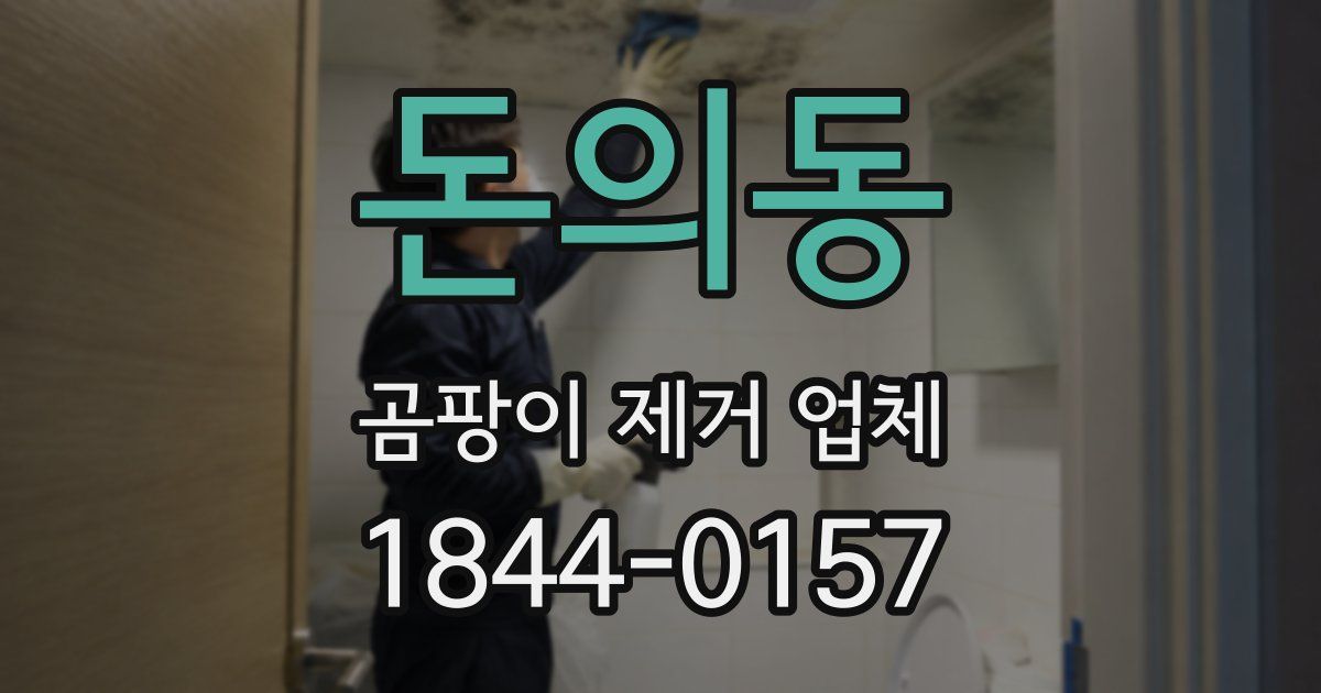 돈의동 곰팡이 제거 업체