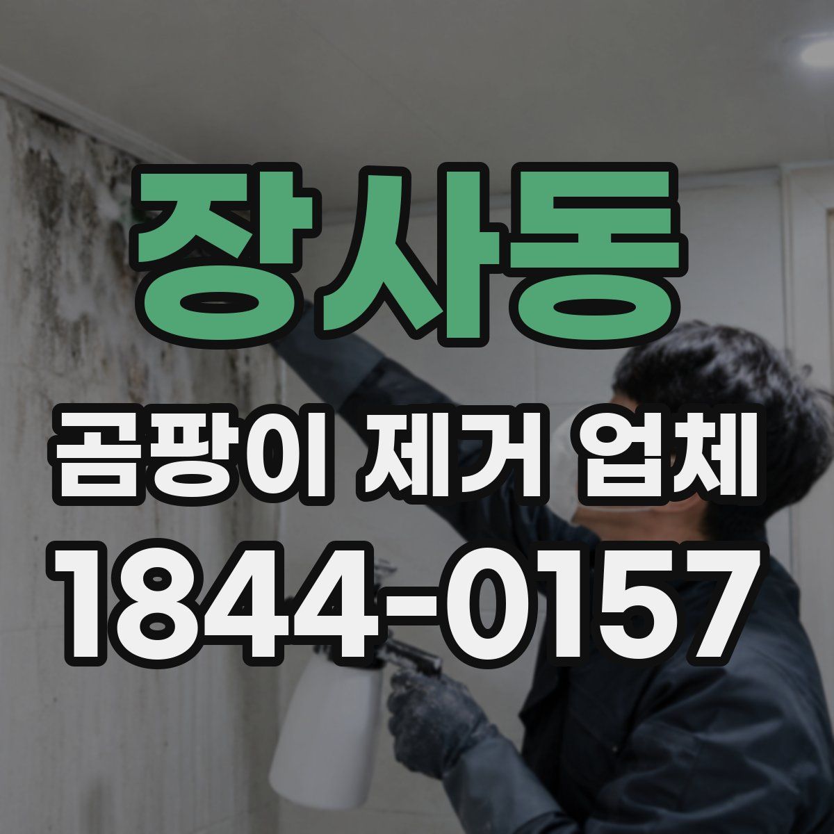 장사동 곰팡이 제거 업체
