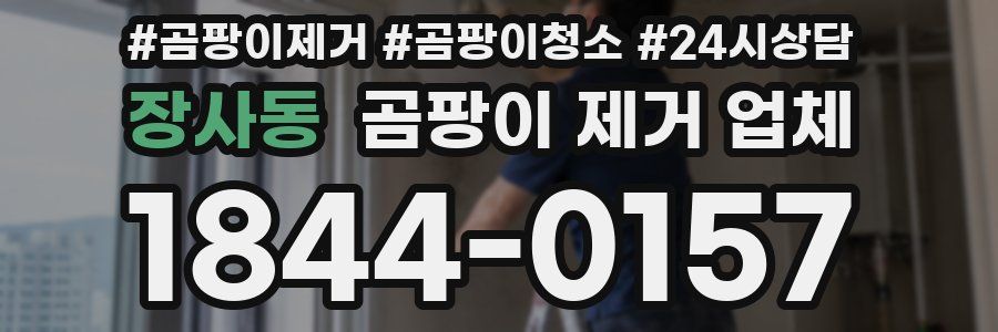 장사동 곰팡이 제거 업체