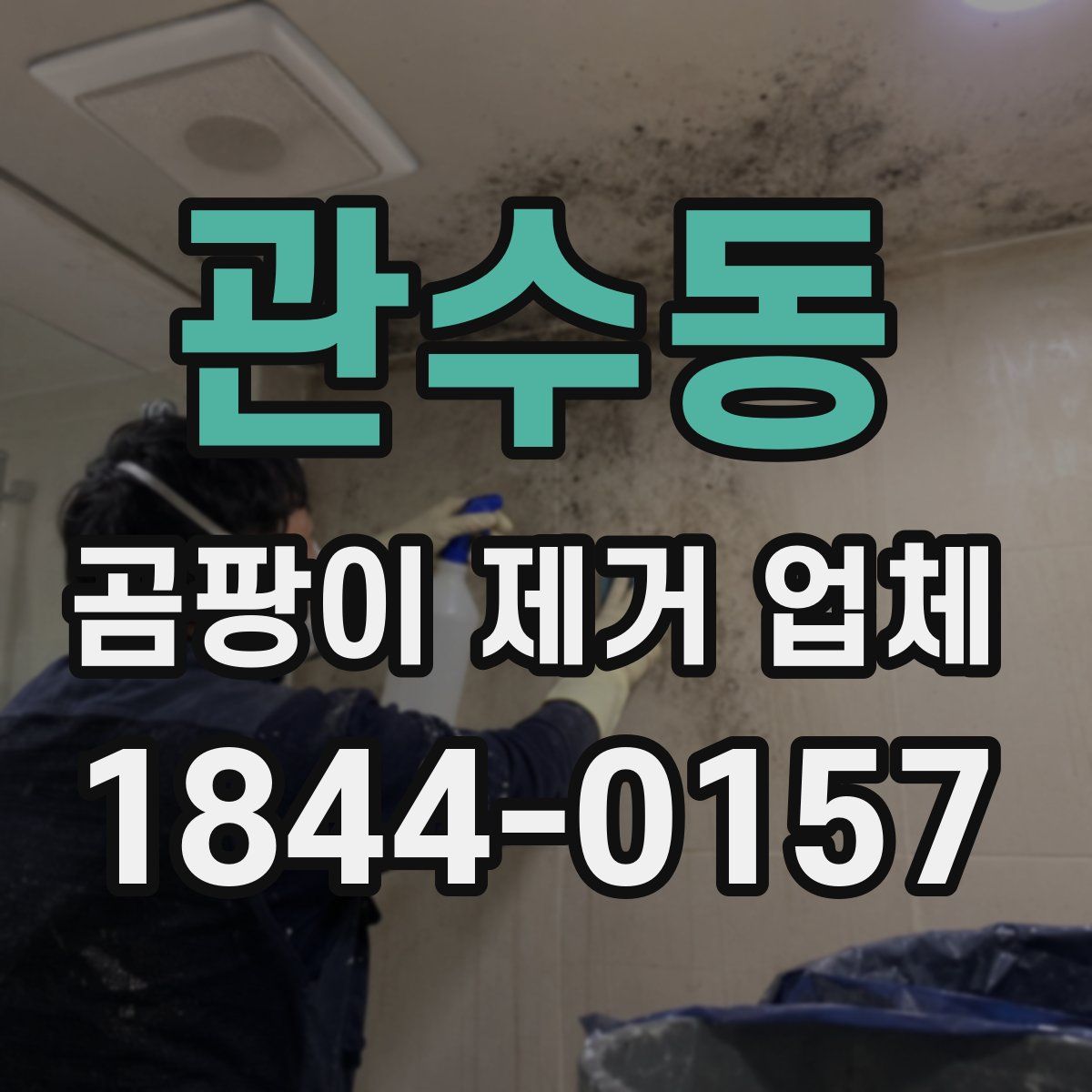 관수동 곰팡이 제거 업체