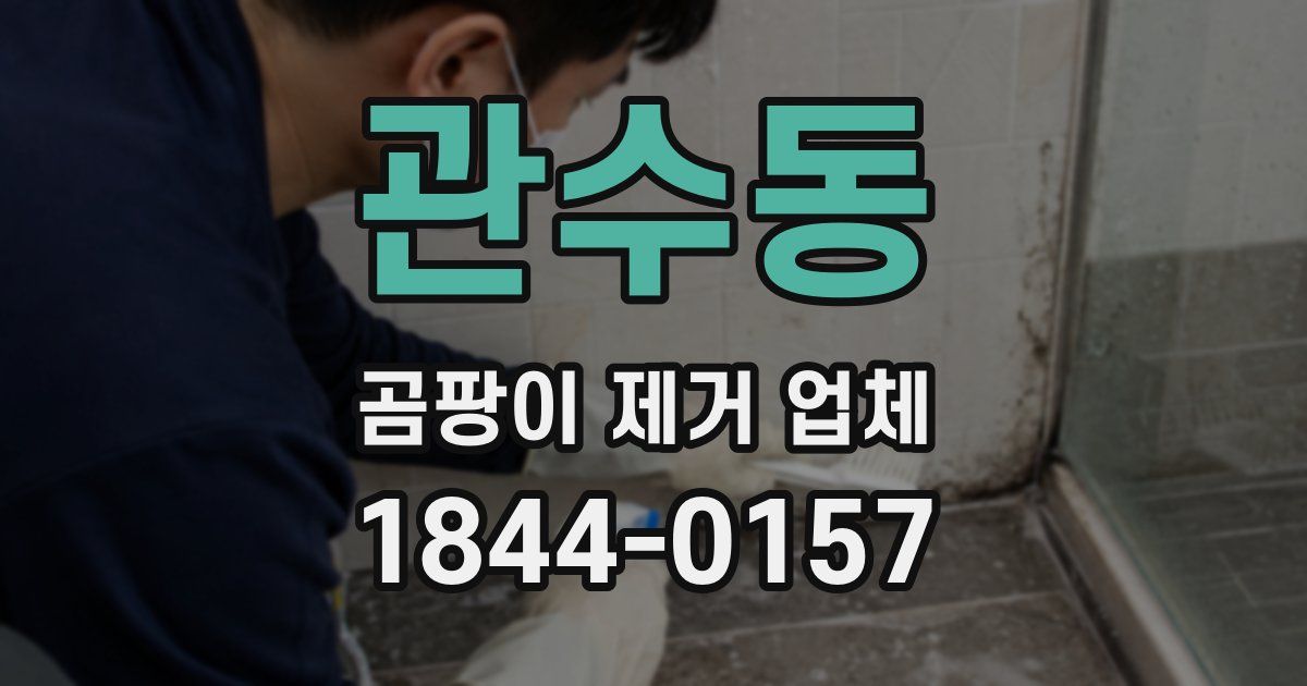 관수동 곰팡이 제거 업체