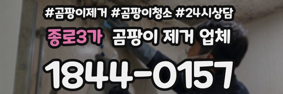 종로3가 곰팡이 제거 업체
