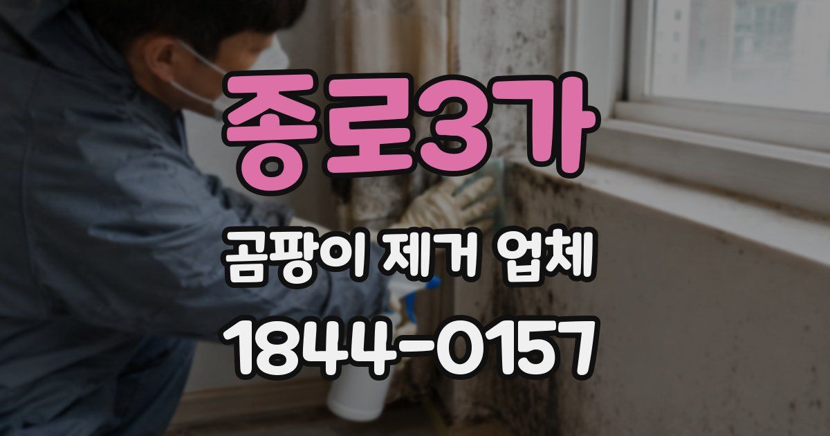 종로3가 곰팡이 제거 업체