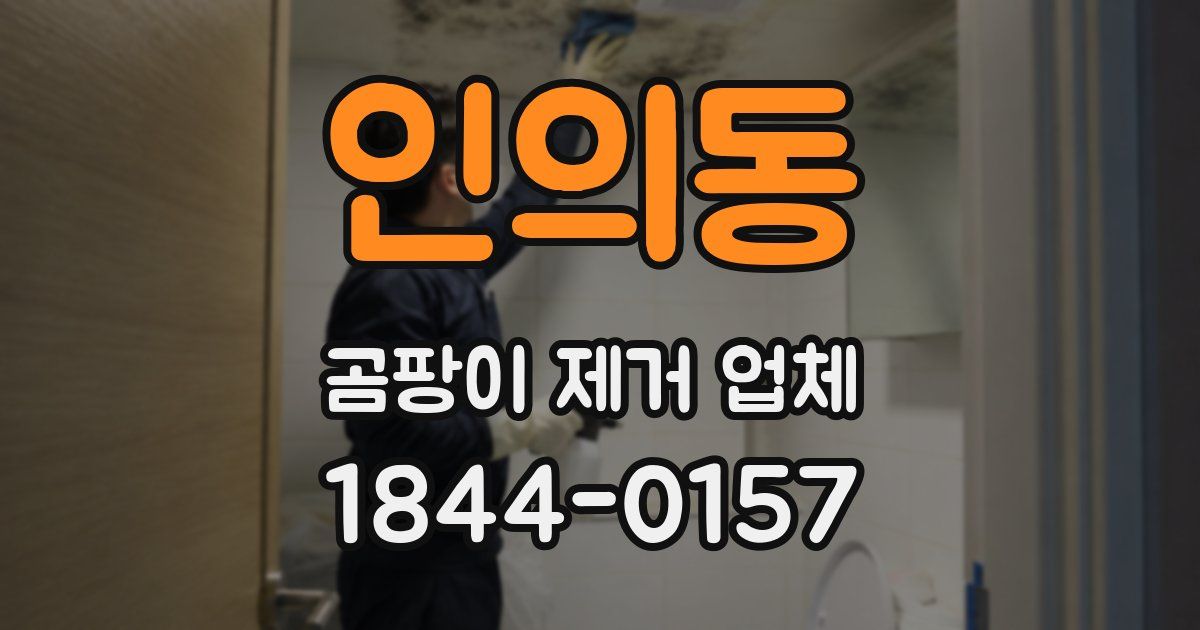인의동 곰팡이 제거 업체