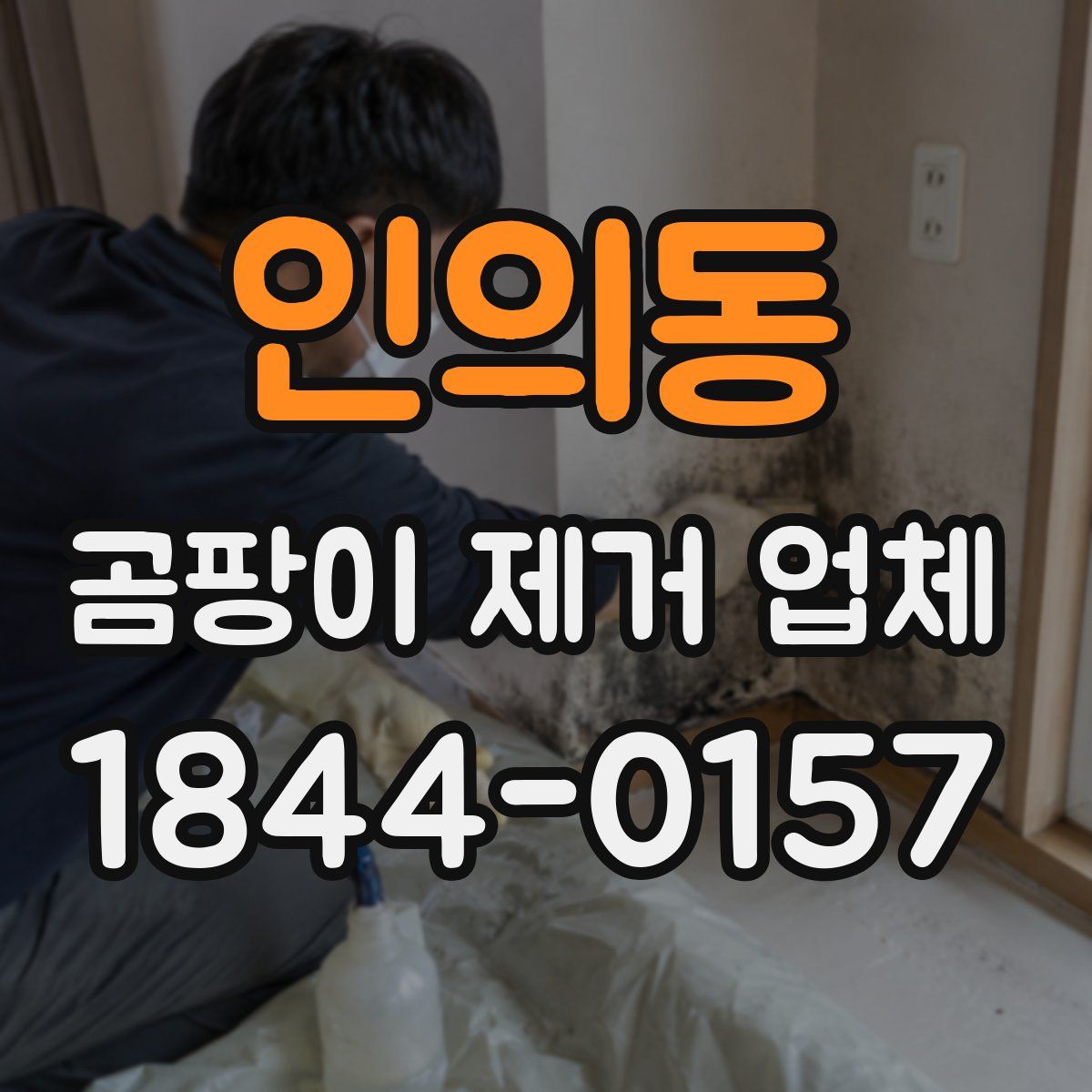 인의동 곰팡이 제거 업체