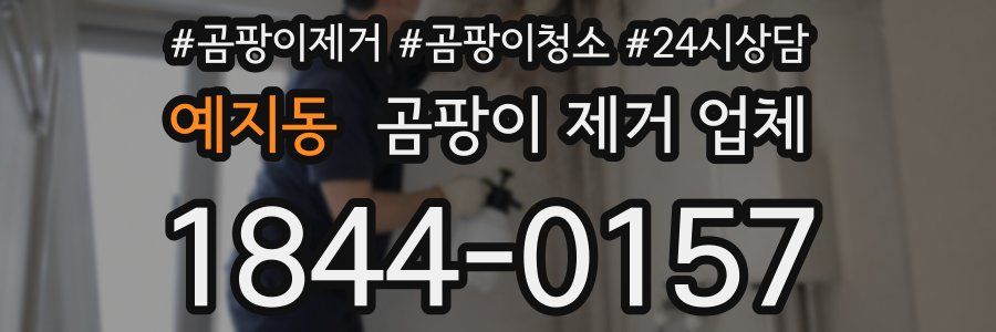 예지동 곰팡이 제거 업체