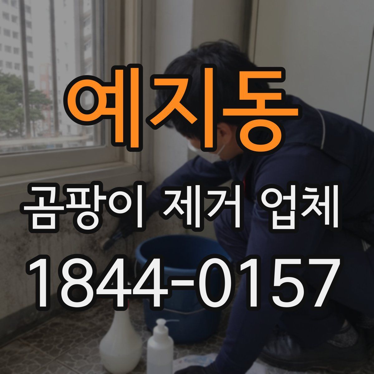 예지동 곰팡이 제거 업체
