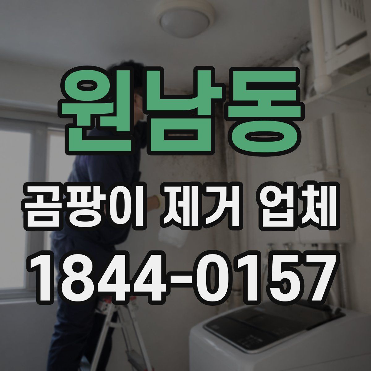 원남동 곰팡이 제거 업체