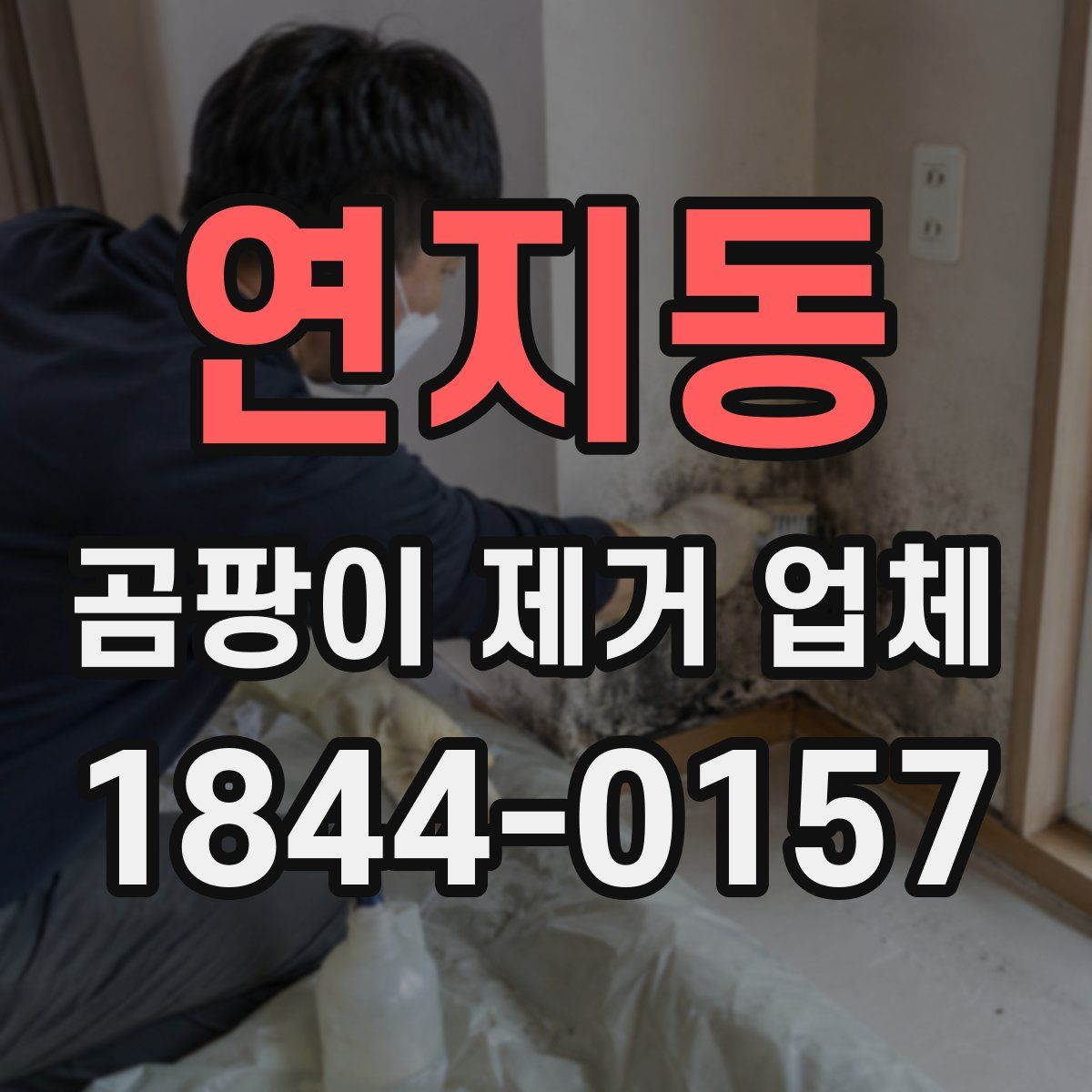 연지동 곰팡이 제거 업체