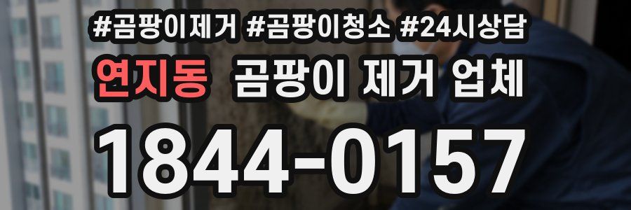 연지동 곰팡이 제거 업체