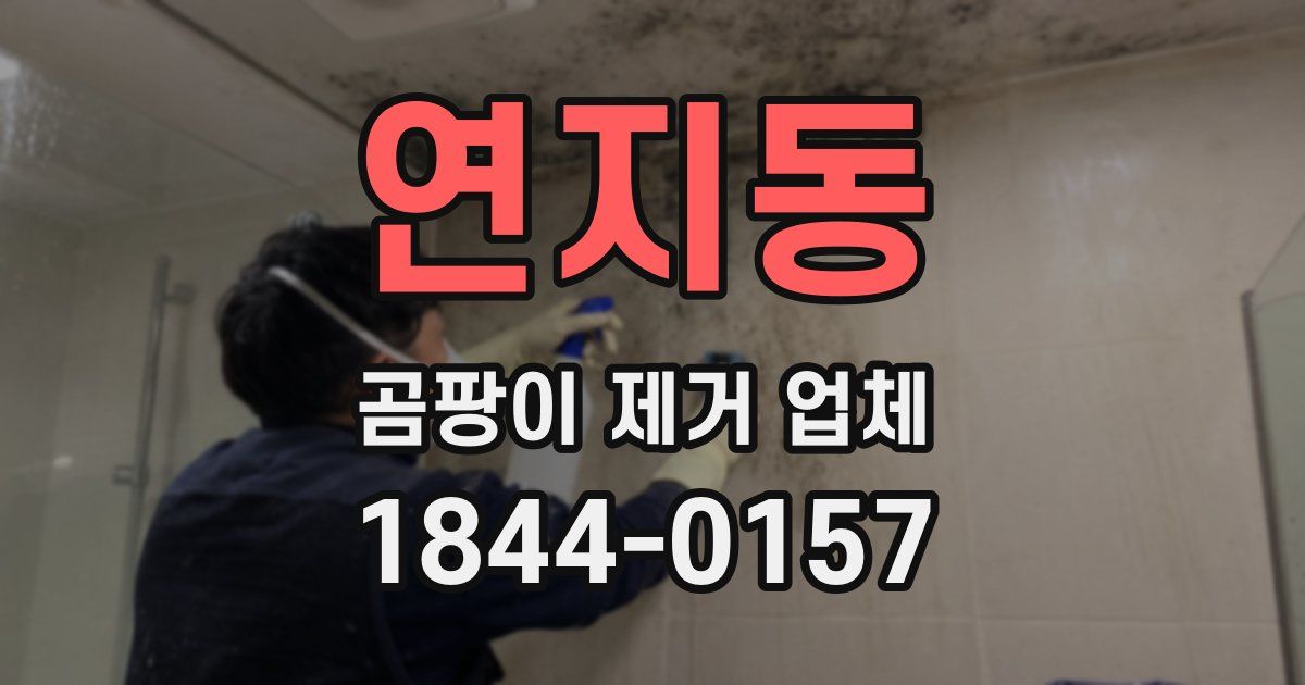 연지동 곰팡이 제거 업체
