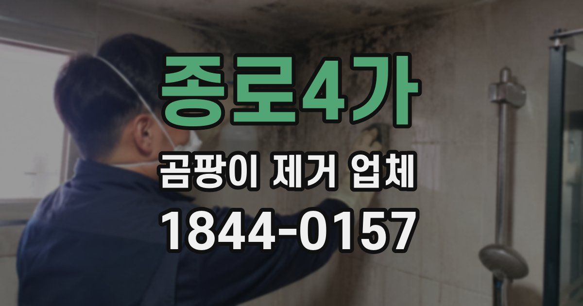 종로4가 곰팡이 제거 업체