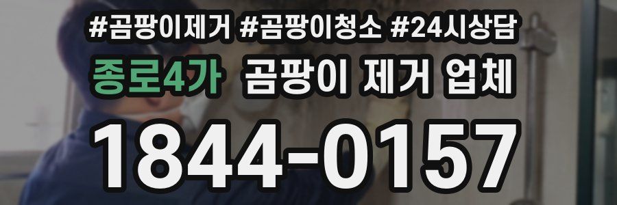 종로4가 곰팡이 제거 업체