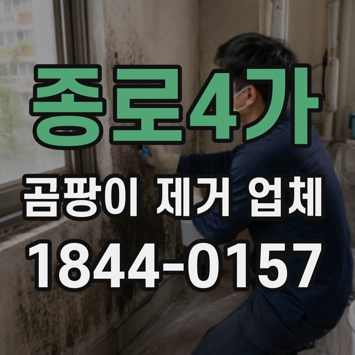 종로4가 곰팡이 제거 업체