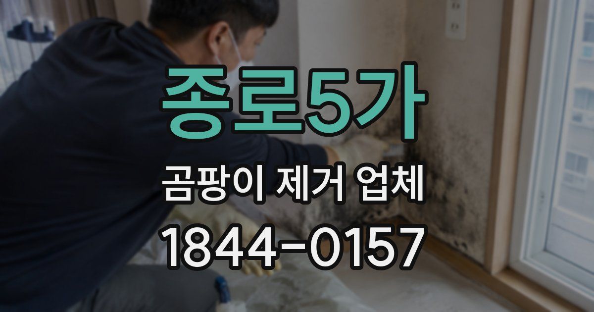 종로5가 곰팡이 제거 업체