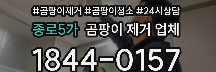 종로5가 곰팡이 제거 업체