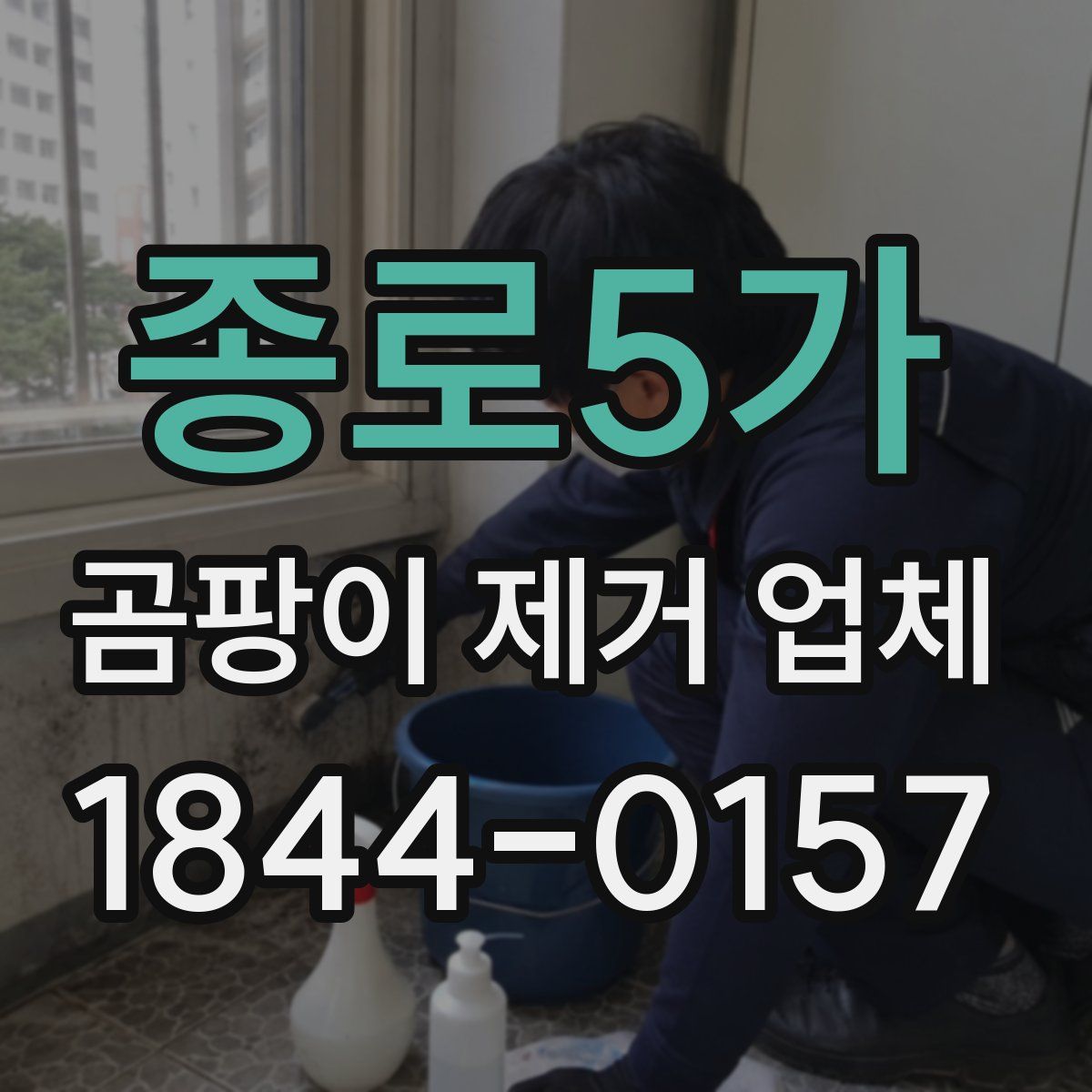 종로5가 곰팡이 제거 업체