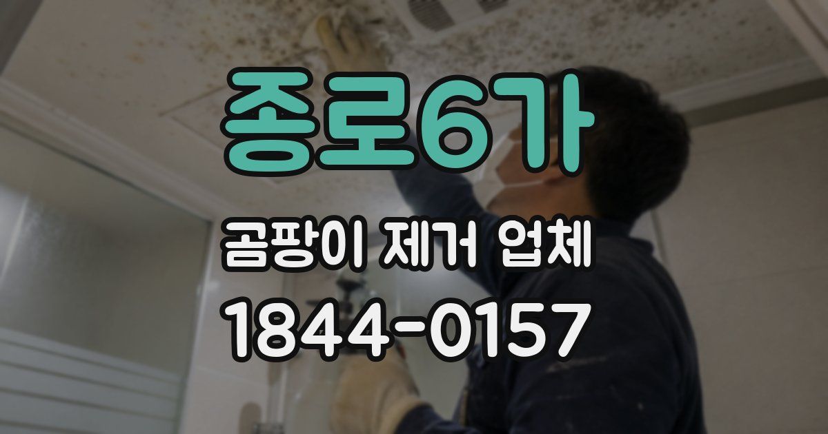 종로6가 곰팡이 제거 업체