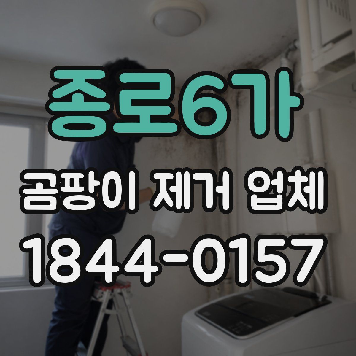 종로6가 곰팡이 제거 업체