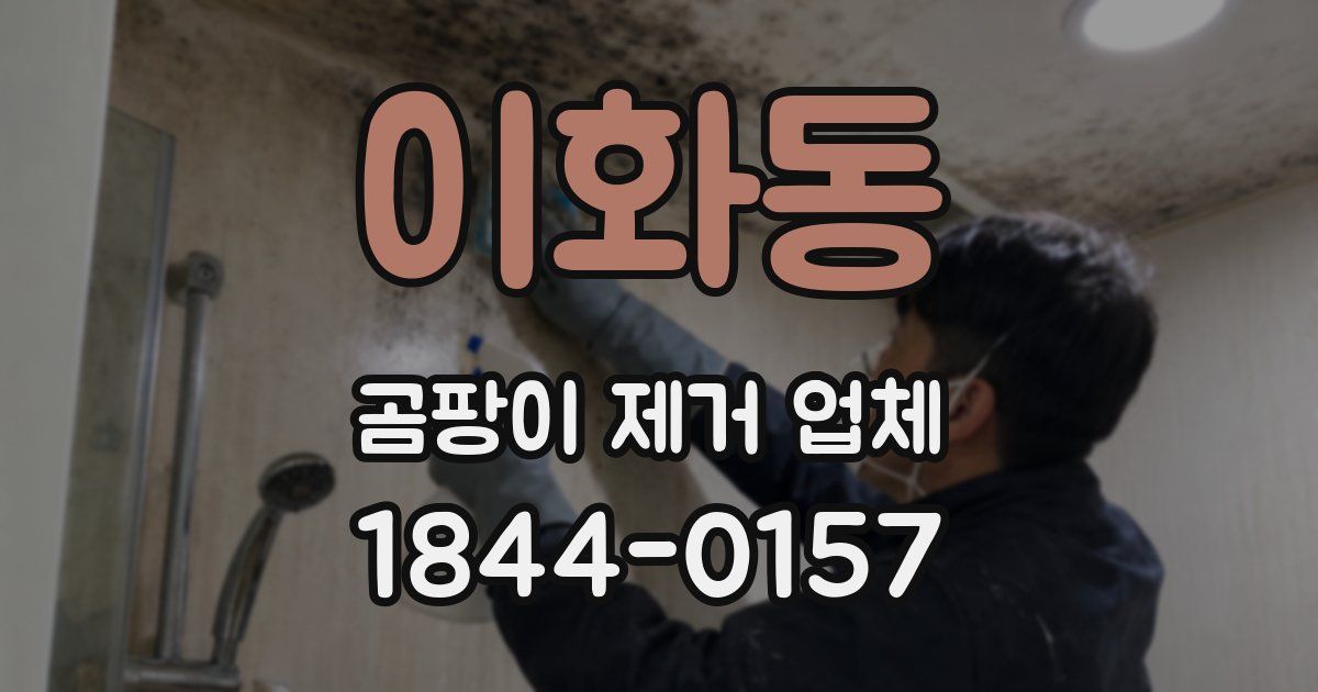 이화동 곰팡이 제거 업체