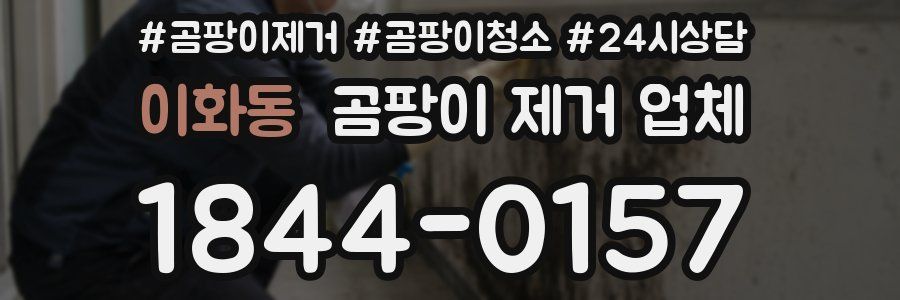 이화동 곰팡이 제거 업체